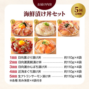 お魚の漬け丼バラエティ5回定期便 N019-YE097