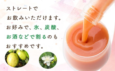 まるで果実を食べているような！グァバドリンク12本セット各720ml)_K021-014