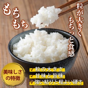 a758 《先行予約受付中！2025年1月以降順次発送予定》＜数量限定！令和6年産新米＞鹿児島県産あきほなみ・蒲生清流米(計6kg・3kg×2袋)【本村農園】