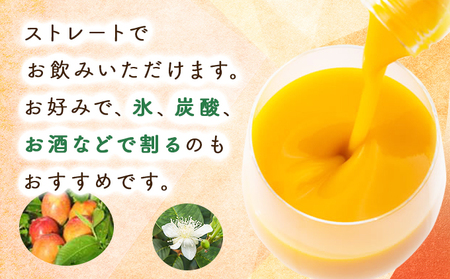 あふれる果実感！マンゴードリンク12本セット(各720ml)_K021-019