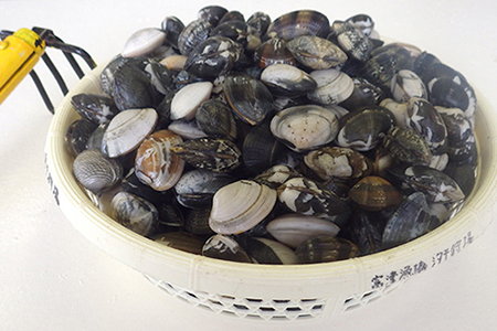 富津海岸 潮干狩入り浜券（大人2枚・網袋付）
