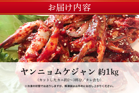 ヤンニョムケジャン カニ キムチ 韓国料理 AF-004