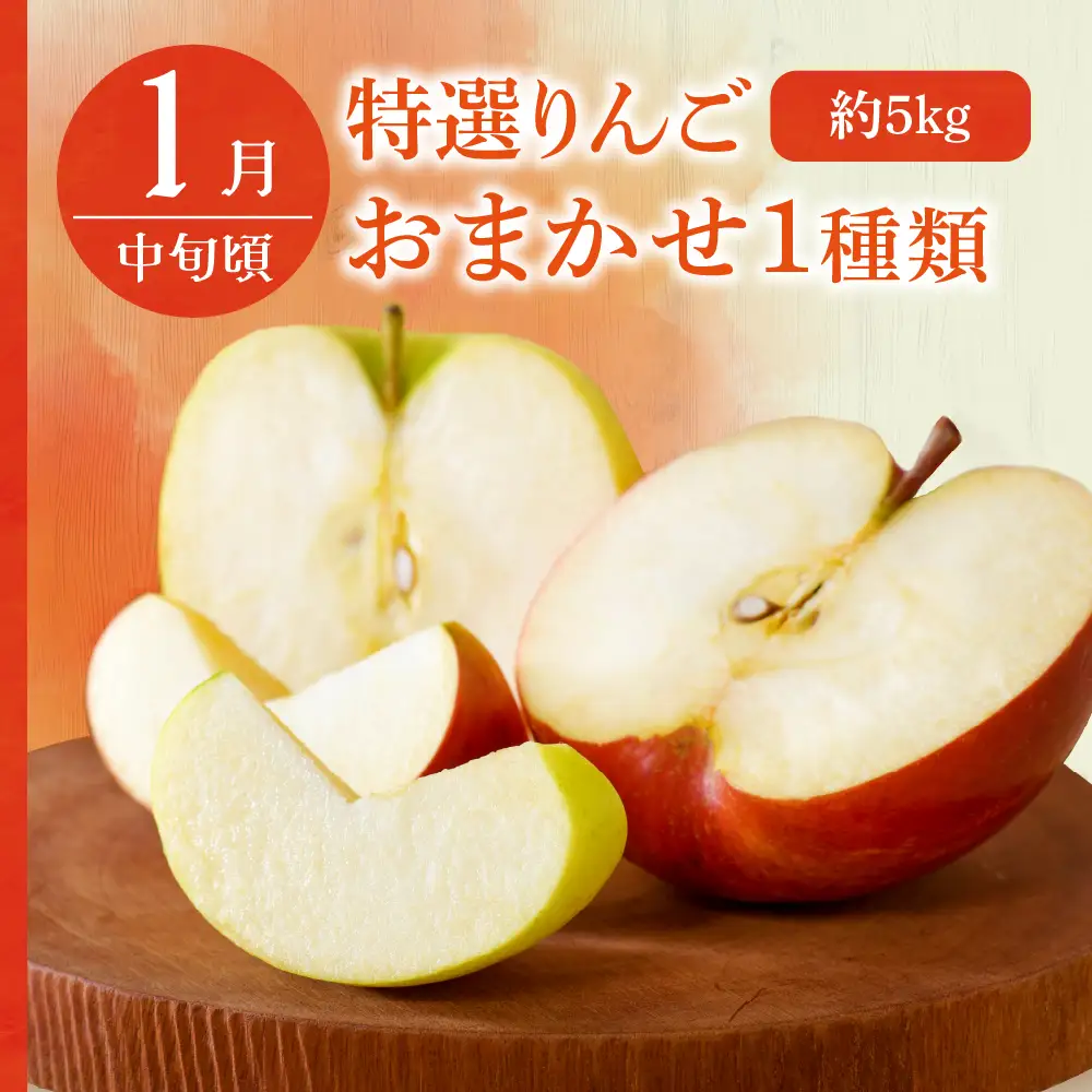 【2026年7月発送開始】 フルーツ定期便【3回】（ジュース入りセット）りんご、りんごジュース、メロン　訳あり品含む | フルーツ定期便