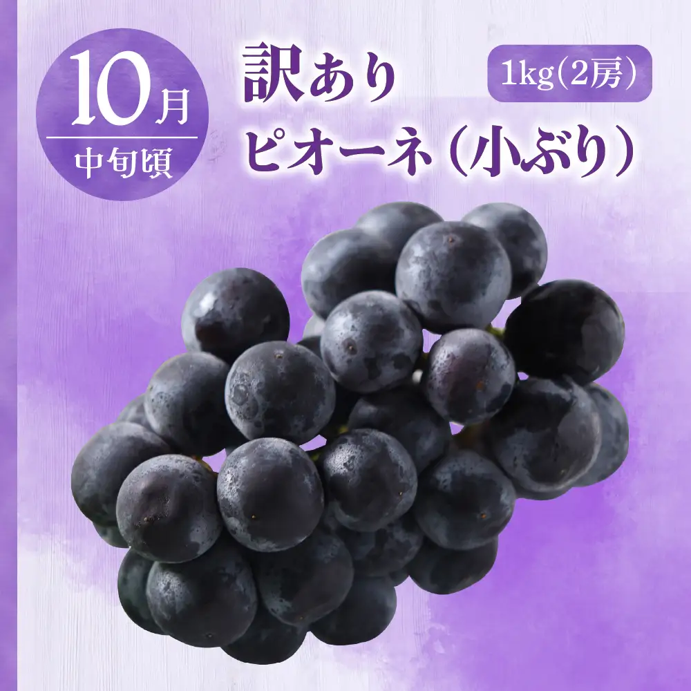 【2026年7月発送開始】 フルーツ定期便【3回】（訳ありセット）緑肉メロン、りんご、ピオーネ | フルーツ定期便