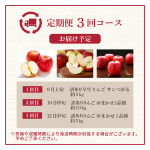 【2026年9月発送開始】 フルーツ定期便【3回】（りんごづくし）りんご　訳ありセット | フルーツ定期便