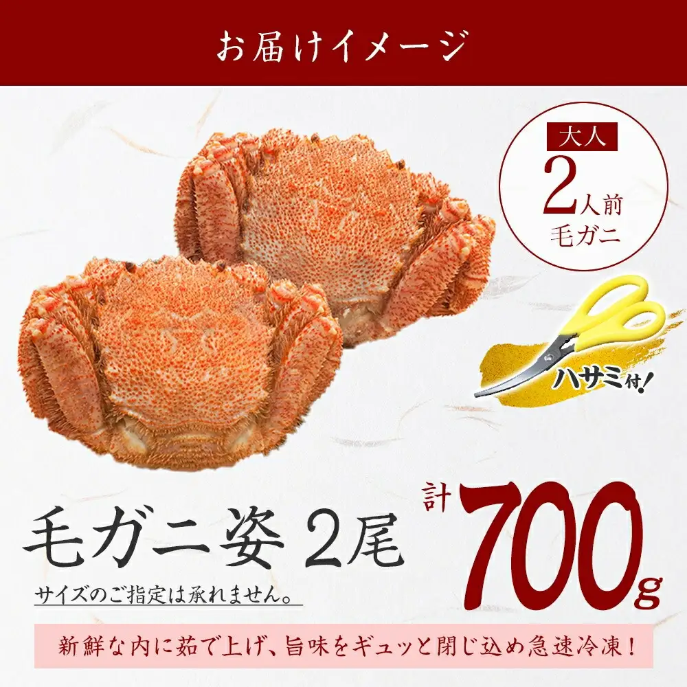 3334. 毛蟹 2尾 計700g前後 食べ方ガイド・専用ハサミ付 カニ かに 蟹 海鮮 北海道加工 ボイル 送料無料 北海道 弟子屈町