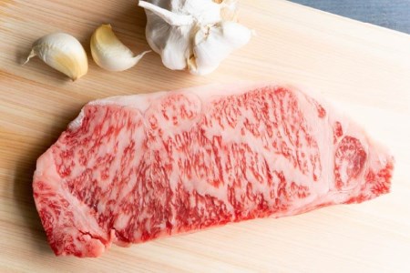 博多和牛 A4以上 サーロインステーキ 厳選部位 250g 1枚 [MEAT PLUS 福岡県 筑紫野市 21761014]