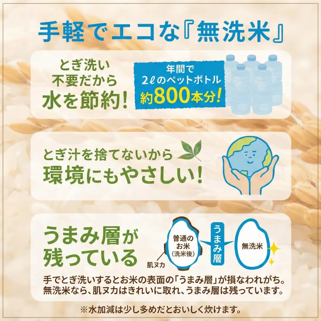 魚沼産コシヒカリ 無洗米 30kg 新潟県 |おこめ 5キロ×6回 隔月 定期便 特A評価 無洗