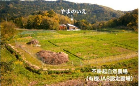 1000年ゆめ農場 びわの葉茶_1925R