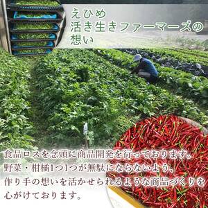 愛媛県産 野菜・柑橘を使ったベジソルト（９種セット） SEI0003