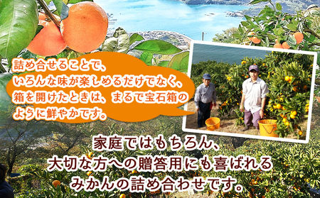 ＜愛媛県明浜産 旬の柑橘 宝石箱（3種類以上詰め合わせ）約7kg＞※2027年2月上旬～4月上旬迄に順次出荷予定 温州みかん ポンカン イヨカン はるか 紅ハッサク ネーブル せとか 不知火 デコポン 清見 紅甘夏 ブラッドオレンジ 宇都宮農園 西予市【常温】AUN0002