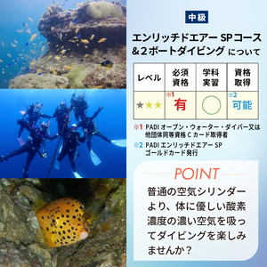 ＜ドラゴンレディ＞エンリッチドエアーSPコース&２ボートダイビング [マリンスポーツ アクティビティ]