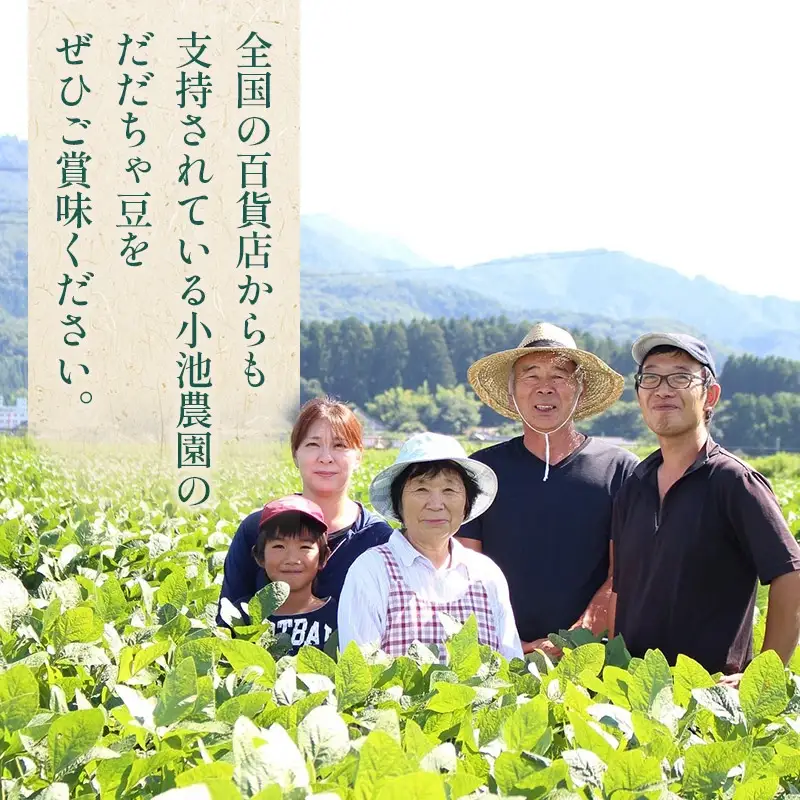 【令和8年産先行予約】【鶴岡の夏の旬を伝える】 小池農園のだだちゃ豆 【白山】 1.8kg（600g×3袋）　k-832
