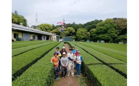 毎日のお茶に最適！ぐり茶使用のほうじ茶　600g(150g×4袋)