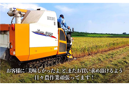 【先行予約】【令和8年産】特別栽培米！コシヒカリ10kg / お米 [IAS002]