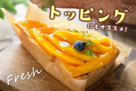 数量限定 宮崎県産 完熟マンゴー＜太陽のタマゴ＞5L×1玉（650g以上）※2026年4月下旬配送開始 化粧箱入 フルーツ くだもの【D114-26】