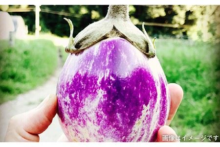 【 全3回 定期便 】朝採り オーガニック 旬 野菜 お任せ 5品 ＋ 糸島産 大ヒット 特産 加工品 2品 のセット《糸島》【オーガニックナガミツファーム】	[AGE029]