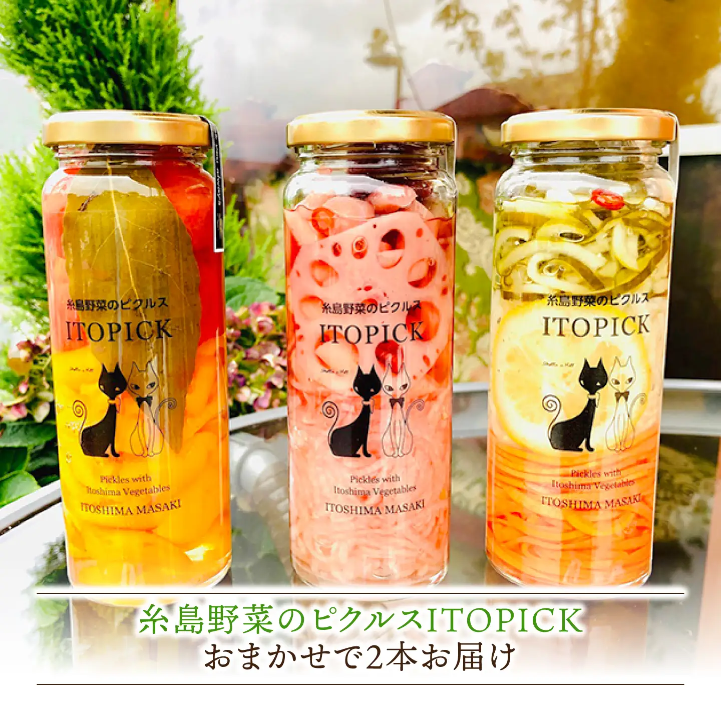 【 全12回 定期便 】 糸島 野菜 を 食べる 生 ドレッシング 5本 / コンフィチュール 4個 / バター 2個 / ピクルス 2本 《糸島》【糸島正キ】 [AQA019]