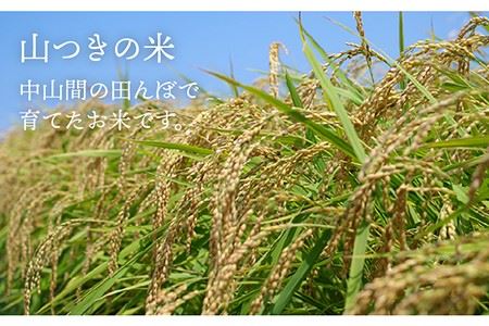 福吉産・ 山つき の もち米 1kg  《糸島》【二丈赤米産直センター】 [ABB027] 糯米 餅 おこわ