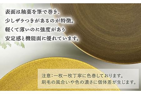 【波佐見焼】Shabbyカラー 24cm プレート ダークブラウン 2枚セット 大皿 パスタ皿 食器 皿 【和山】 [WB138]  波佐見焼