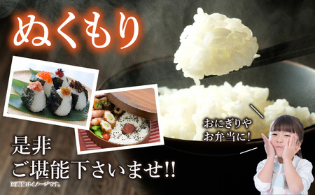 【令和7年産】特別栽培米西尾産コシヒカリ《ぬくもり》【5kg/袋×1袋】・D024-18