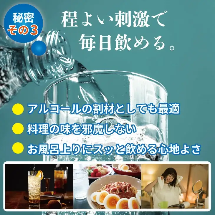 蛍の郷の天然すい（炭酸水）1L 15本×1ケース 炭酸 飲料  A060-013
