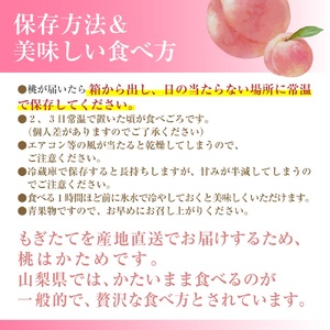 【先行予約】 朝もぎ直送！山梨の桃  5~6玉　2kg箱　化粧箱【2026年7月上旬から発送】おさだ農園[5839-0171] 