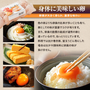 業務用　日本三大地鶏！！ 「純系　名古屋コーチンの卵」（90個）　本当に美味しい食べ物は調味料の味に負けません！