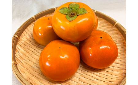 【ご家庭用わけあり】和歌山秋の味覚　富有柿　約3.5kg【uot741】