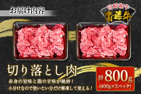 齋藤牛 切り落とし肉（400g×2P）計800g【B548】