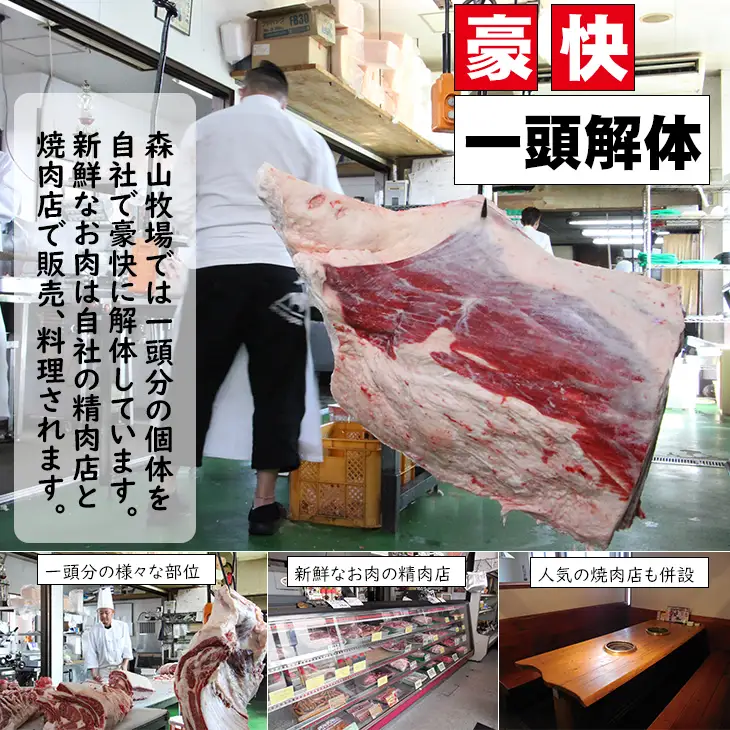 森山牧場 焼肉セット 500g 焼肉 牛肉 B130-064