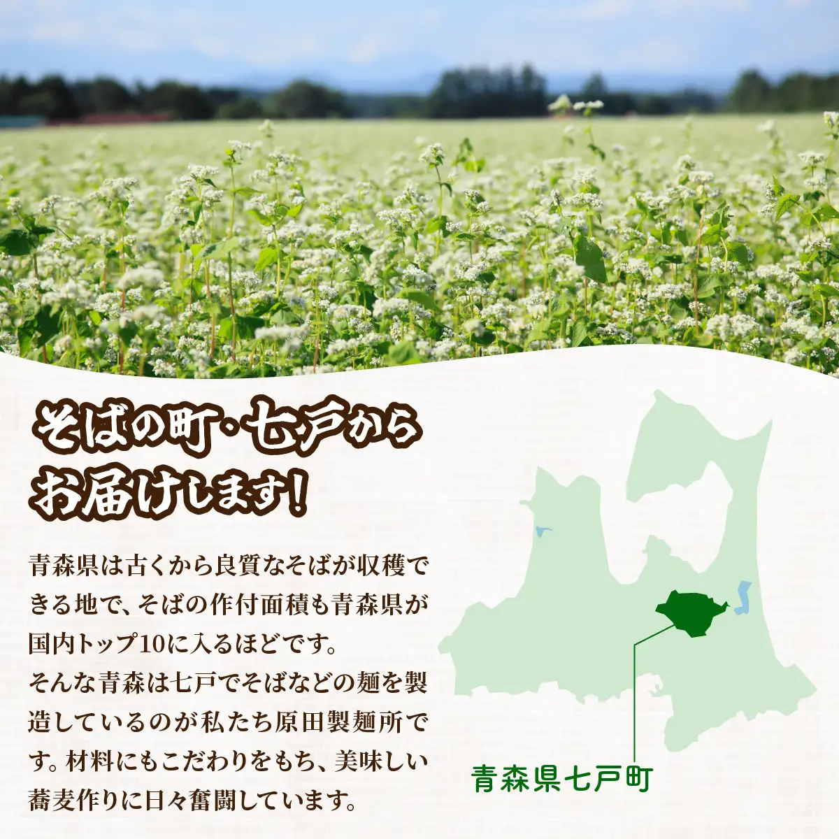 鴨だし蕎麦・乱切り蕎麦セット 青森県産蕎麦使用 【 鴨だしそば 国産合鴨スープ 乱切りそば キタワセ そば 蕎麦 そばセット 自家製麺 青森県 贈り物 贈答 ギフト プレゼント】【02402-0151】