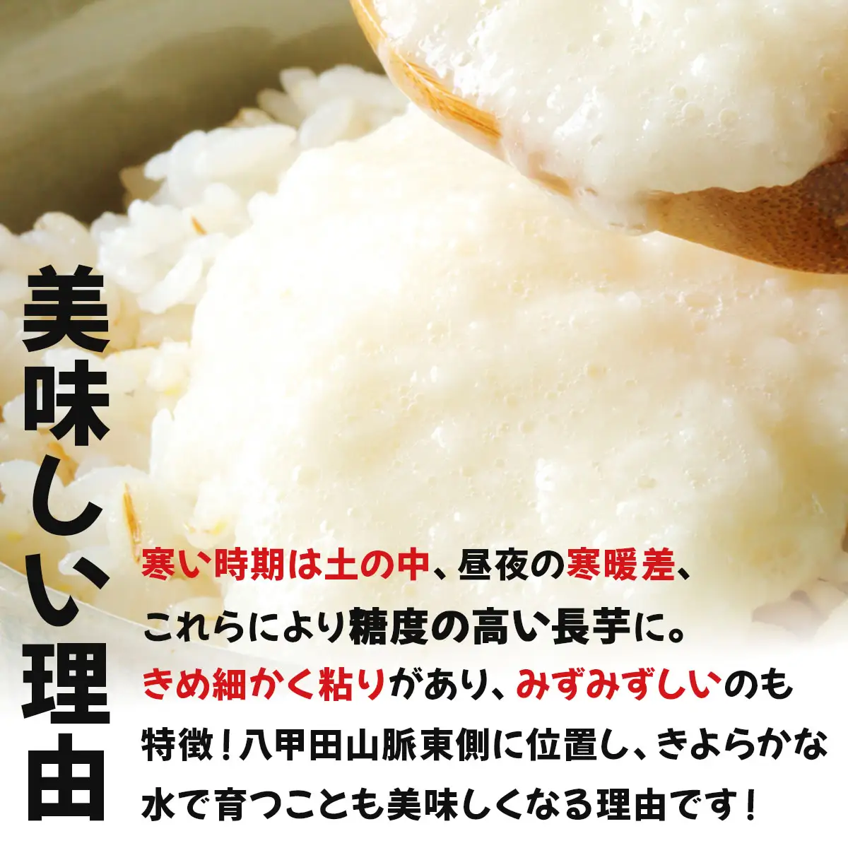 七戸産 長芋 10kg 【長芋 山芋 ながいも とろろ 白米 ご飯のお供 粘り ヘルシー あっさり 新鮮 野菜 青森県 七戸町 常温 贈り物 ギフト】【02402-0055】