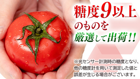 訳あり スーパーフルーツトマト 大箱 約2.6kg × 1箱 (20～35玉/1箱)   [BC038sa]