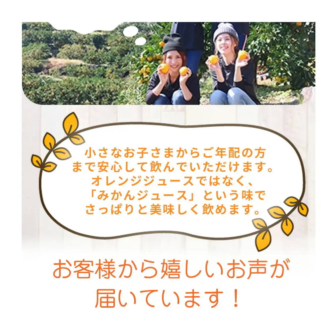 ZE6368n_「まごころ」有田みかん 100％ ジュース 1000ml 2本