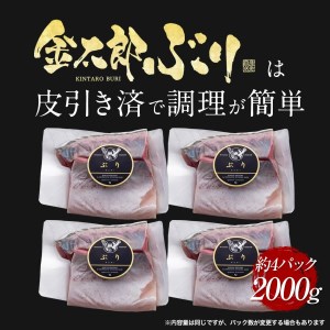 鰤屋金太郎【冷凍】ぶりスキンレスロイン2000g N018-YC715-2