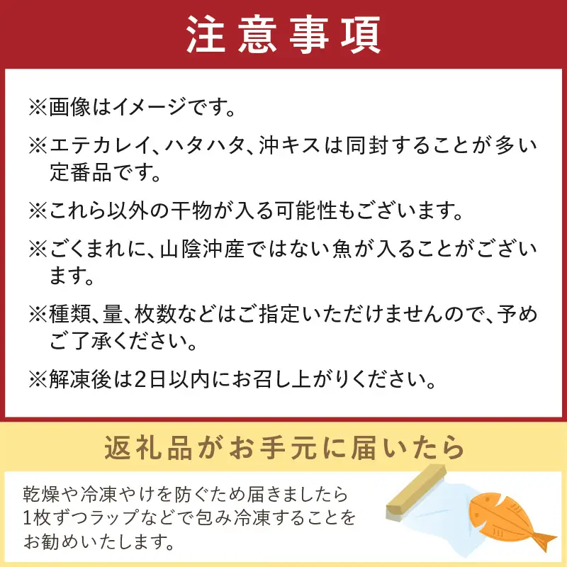 【定期便・隔月5回】京丹後の地元魚屋が作ったお任せ干物セット（冷凍）