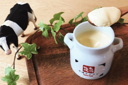 牧場のこだわりプリン 2種×3個 計6個セット [岩瀬牧場 北海道 砂川市 12260350] 