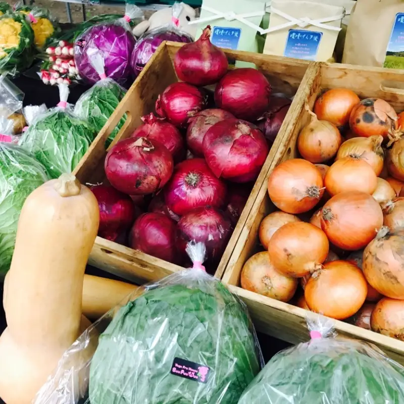 農業姉妹がこだわって栽培！白米5kgと旬の野菜詰め合わせ8種 半年定期便【024A-028】