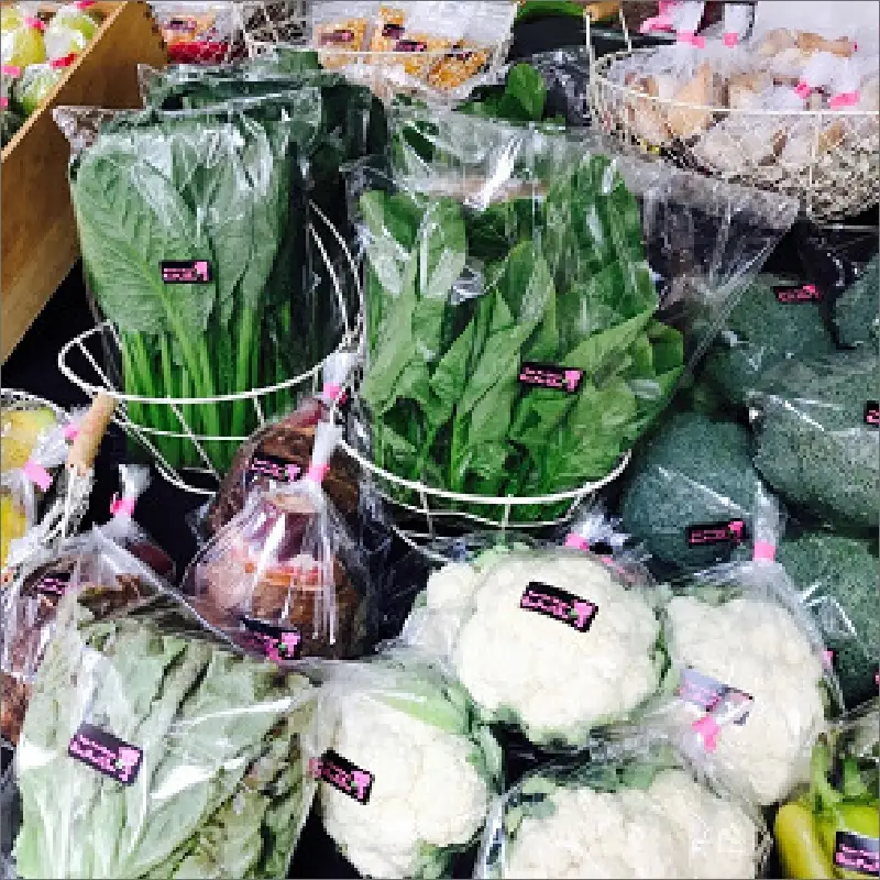 農業姉妹がこだわって栽培！旬の厳選野菜10種 半年定期便【024A-017】