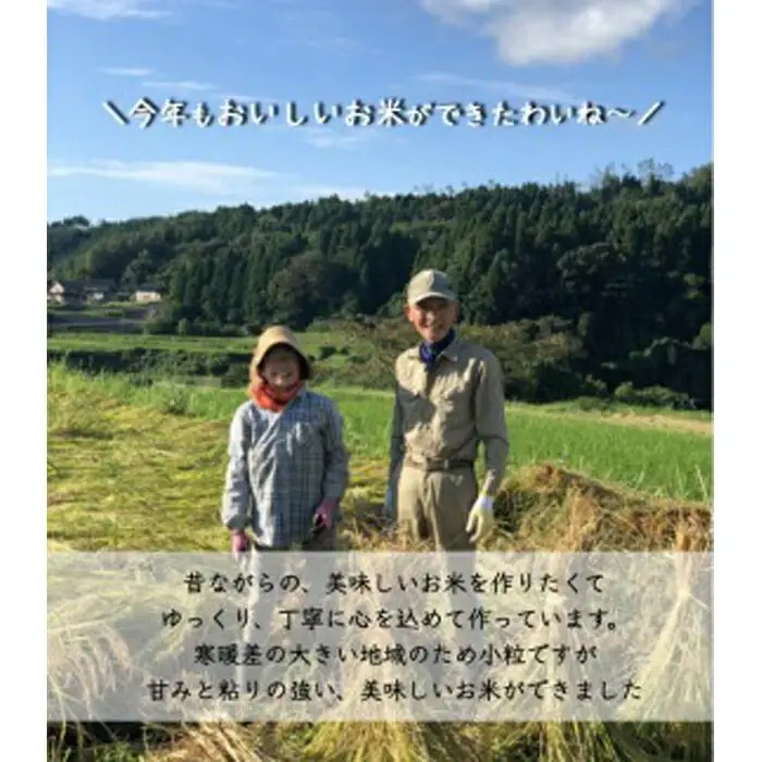 （毎月／全5回）【白米】定期便　特別栽培米 石川県産こしひかり棚田米”まっきゃま米”