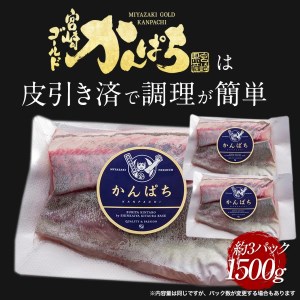 鰤屋金太郎【冷凍】かんぱちスキンレスロイン1500g N018-YC714-2