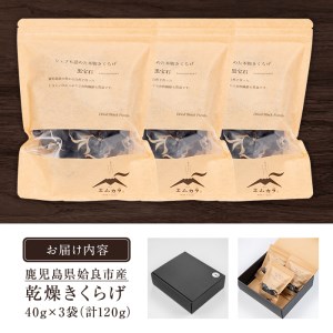 a769 国産乾燥きくらげ計120g(40g×3袋)【姶良のアグリM～】