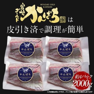 【冷凍】かんぱち スキンレスロイン 2000g N018-YD0261-2