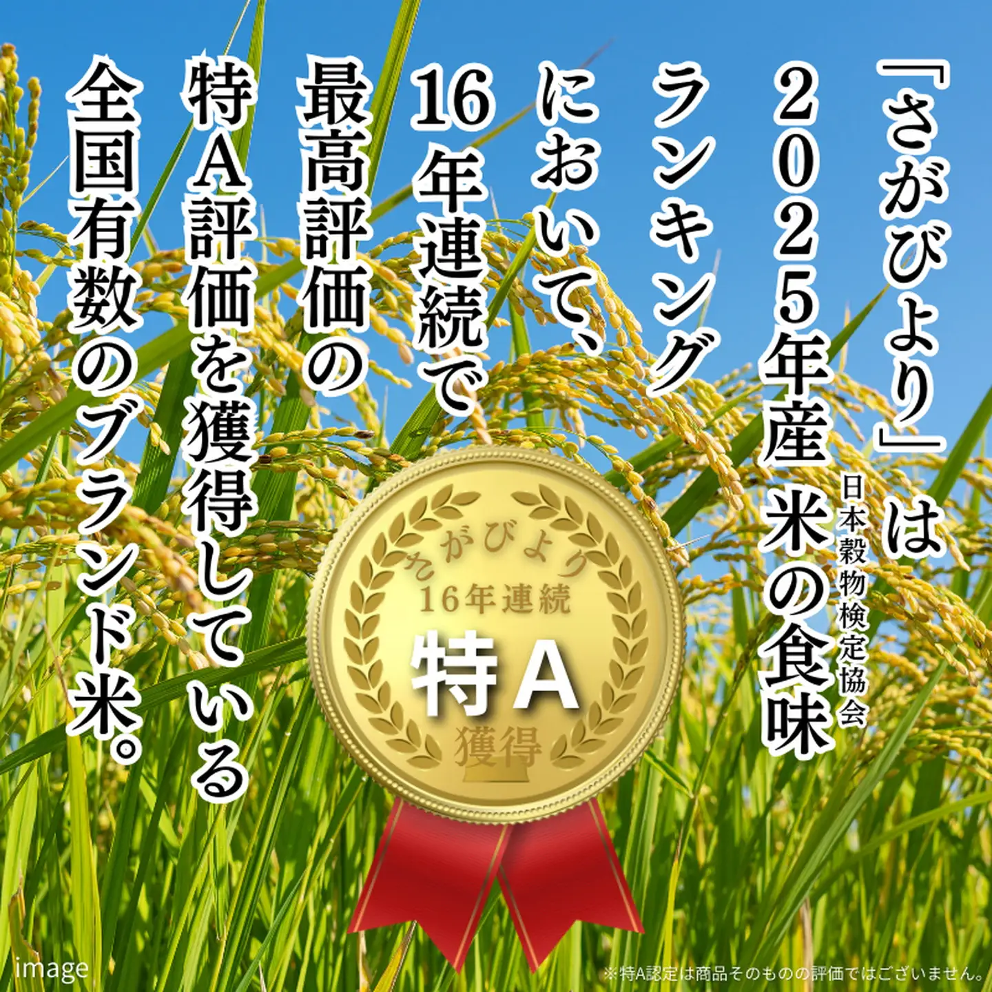 R7年 佐賀県産 特A さがびより 白米5kg：B110-065