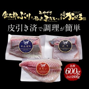 鰤屋金太郎【冷蔵】ぶりたいかんぱちスキンレスロイン各種600g N018-YD0262-1