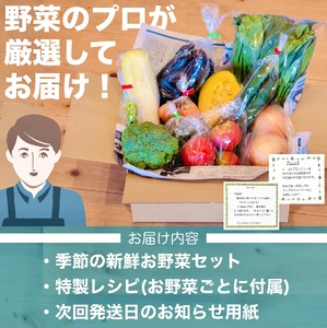 【 野菜 】 野菜定期便 12ヶ月