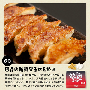 ひろしの餃子 満喫セット（もちチーズ餃子10個、特製餃子16個、えび餃子20個)  hi004-hi044-001r