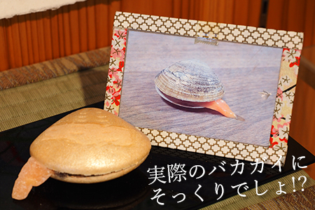 【富津名物】バカ最中（10個入り）