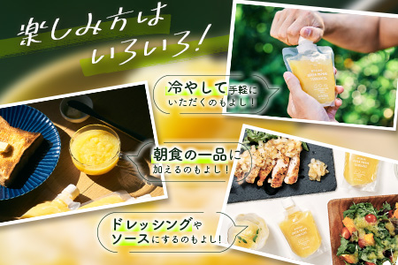 青パパイアスムージー 2個入 MIYAZAKI GREEN PAPAYA TSUBUUZEE ～青パパイアの粒々とフレッシュな柑橘の味わい～［お試し版］ 【A247】